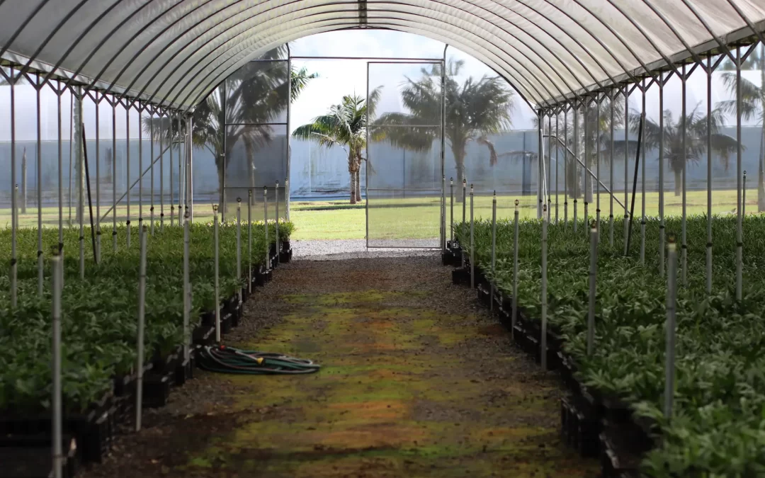 Ellison Horticultural Shade House